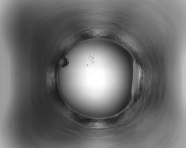 X0000096670506200802121154