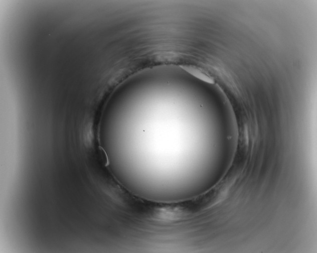 X0000096670508200802121154