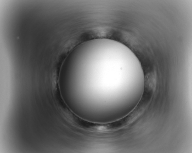 X0000096670509200802121154