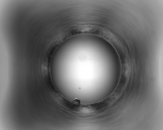 X0000096670510200802121154