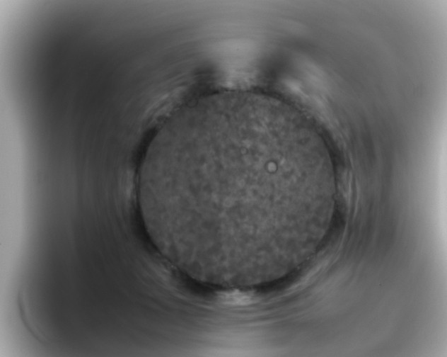 X0000096670511200802121154