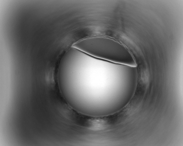 X0000096670512200802121154