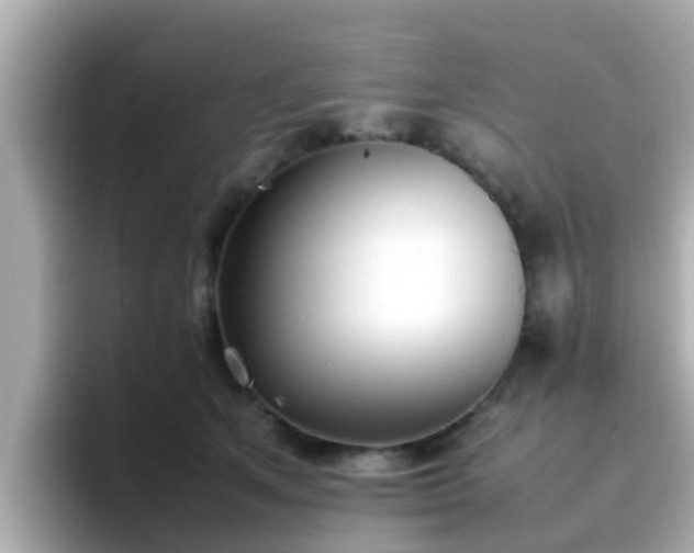 X0000096670513200802121154