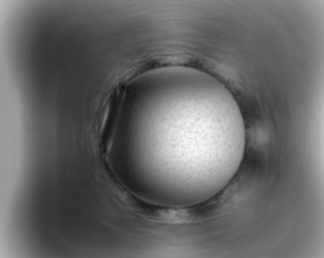 X0000096670517200802121154