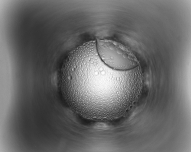 X0000096670519200802121154