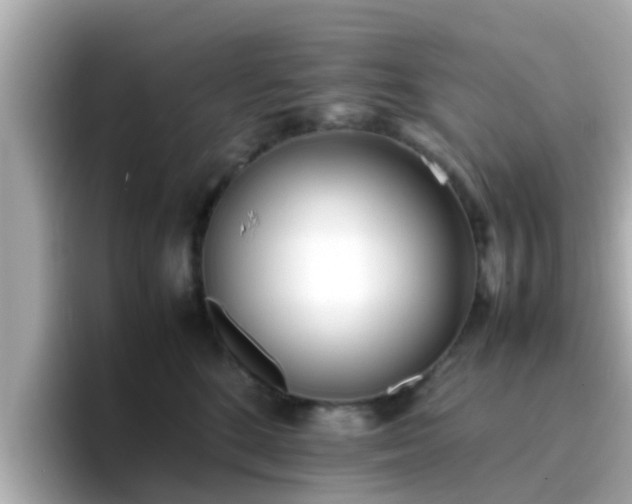 X0000096670520200802121154