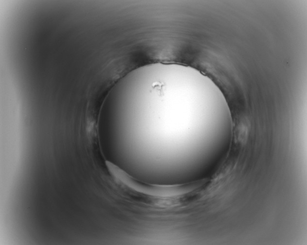X0000096670521200802121154