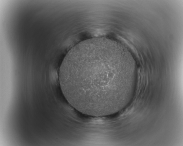 X0000096670523200802121154