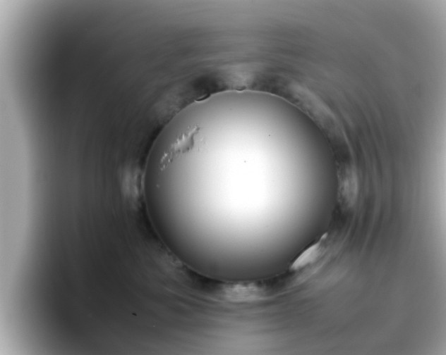 X0000096670525200802121154