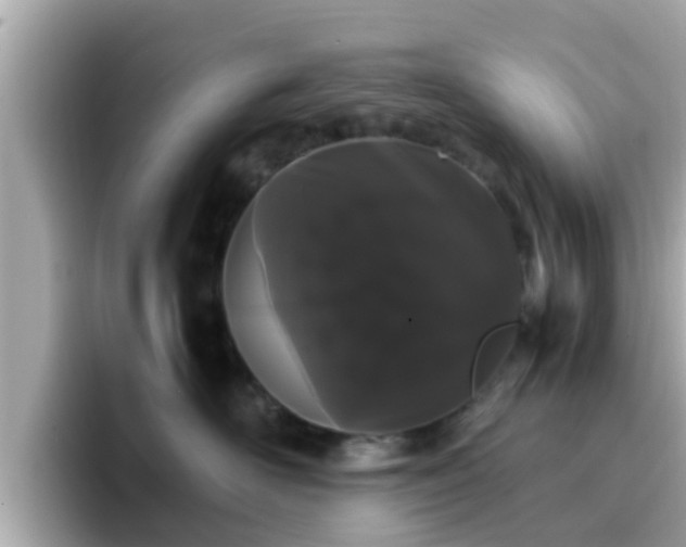 X0000096670526200802121154