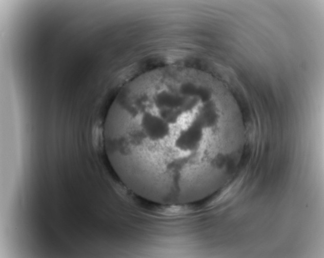 X0000096670527200802121154