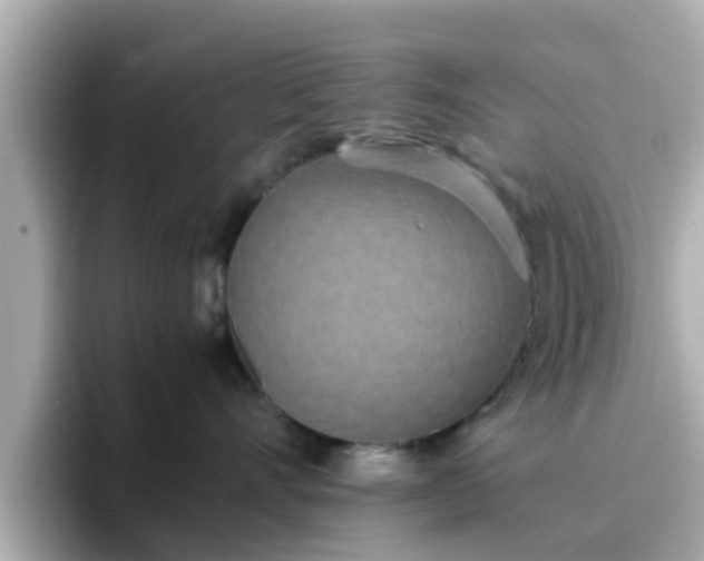 X0000096670528200802121154