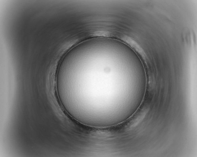 X0000096670529200802121153
