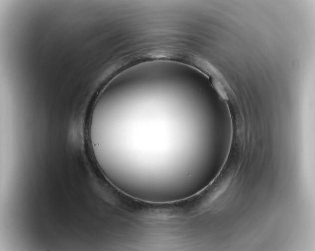 X0000096670530200802121153