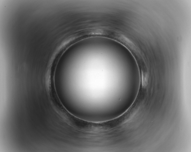 X0000096670531200802121153