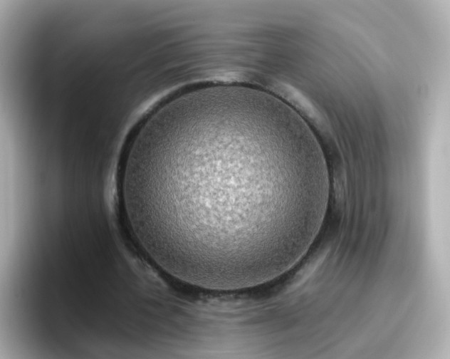 X0000096670532200802121153