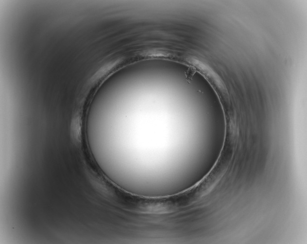 X0000096670533200802121153