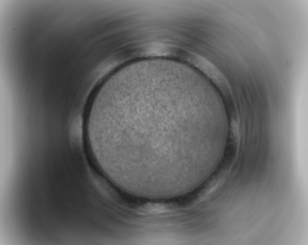 X0000096670534200802121153