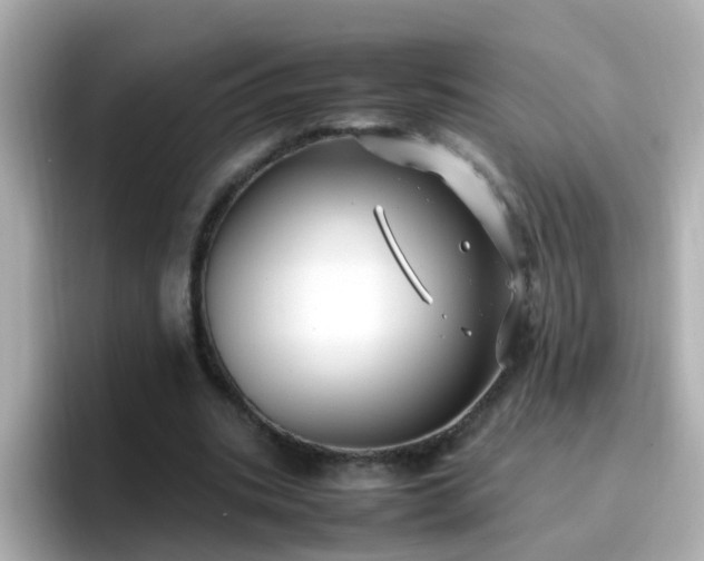 X0000096670535200802121153