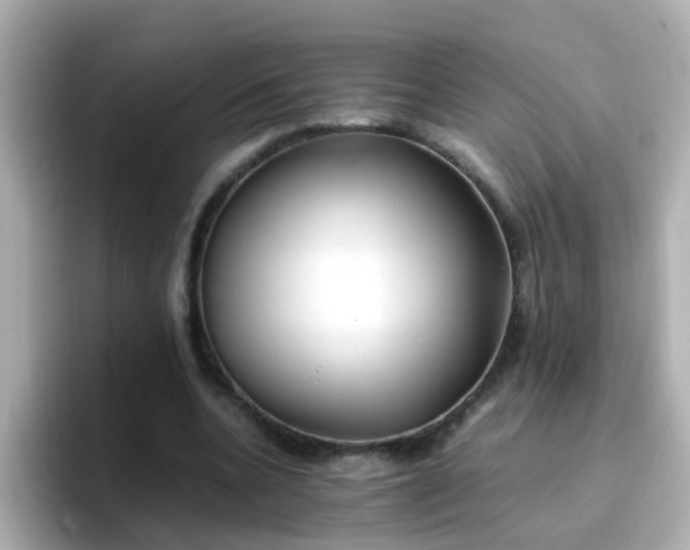 X0000096670536200802121153