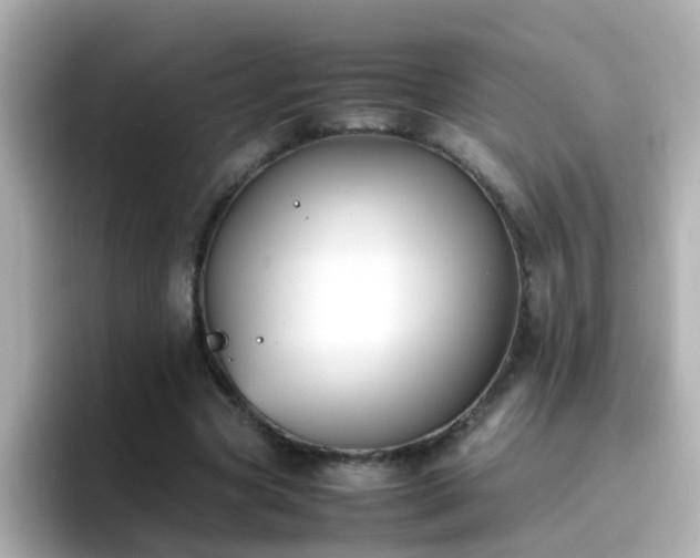 X0000096670537200802121153