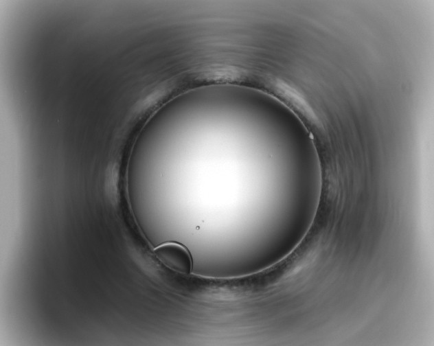 X0000096670538200802121153