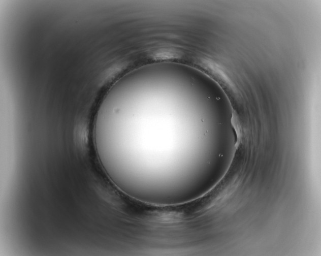 X0000096670539200802121153