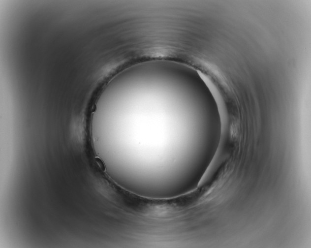 X0000096670540200802121153