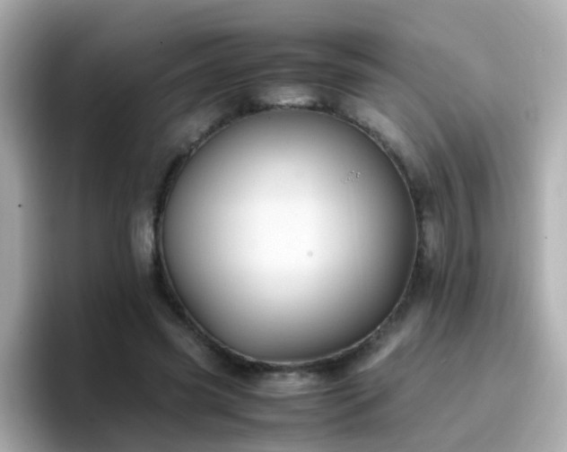 X0000096670541200802121153