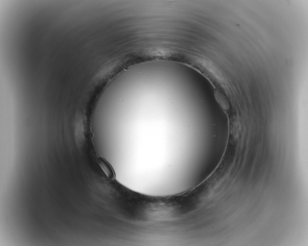 X0000096670544200802121153