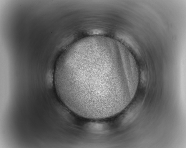 X0000096670545200802121153