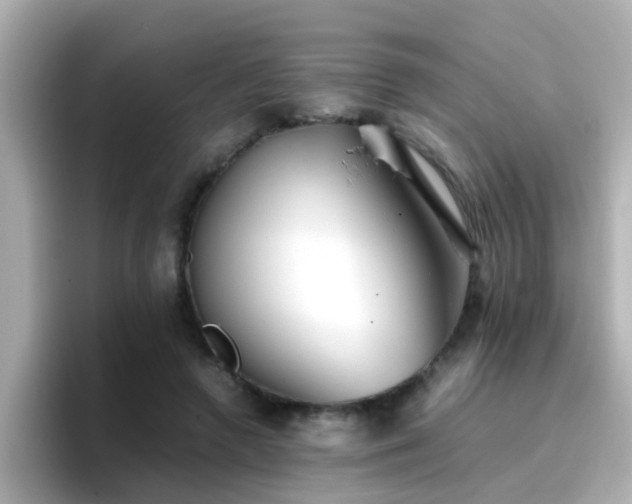 X0000096670546200802121153