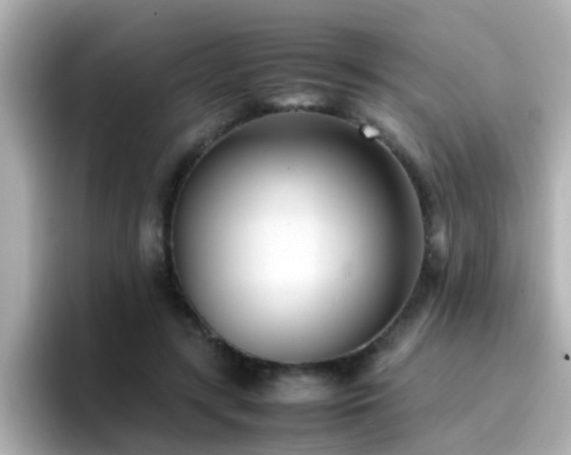 X0000096670547200802121153