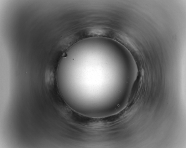 X0000096670551200802121153