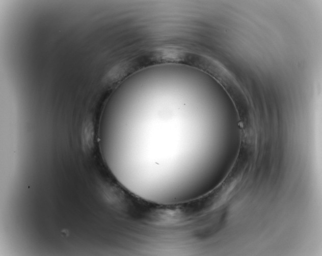 X0000096670552200802121153