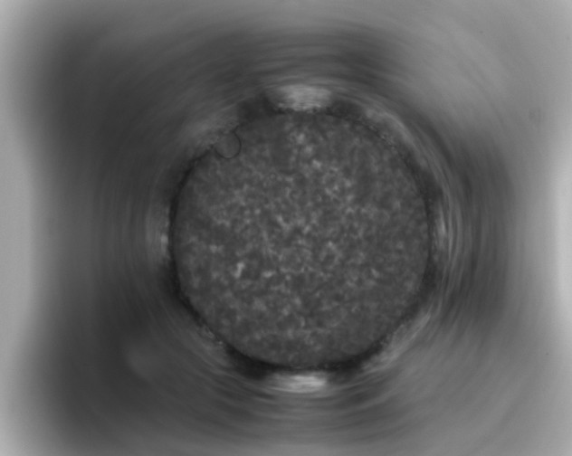 X0000096670553200802121153
