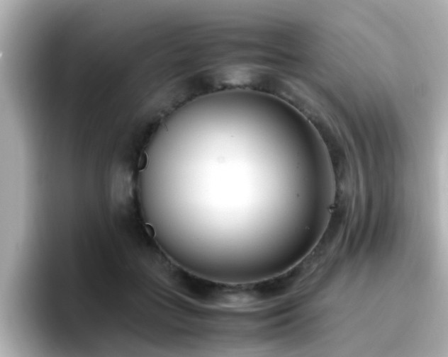 X0000096670555200802121153