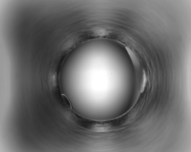X0000096670556200802121153
