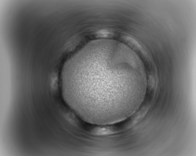 X0000096670557200802121153