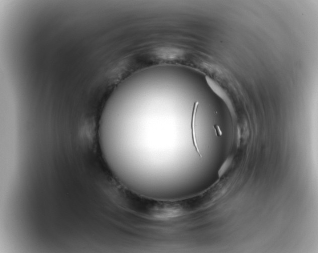 X0000096670559200802121153