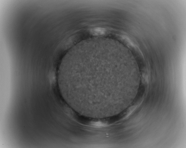 X0000096670561200802121153