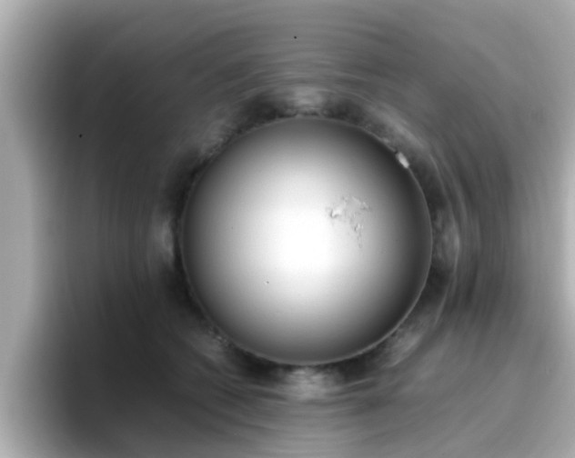 X0000096670562200802121153
