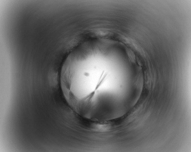 X0000096670563200802121153