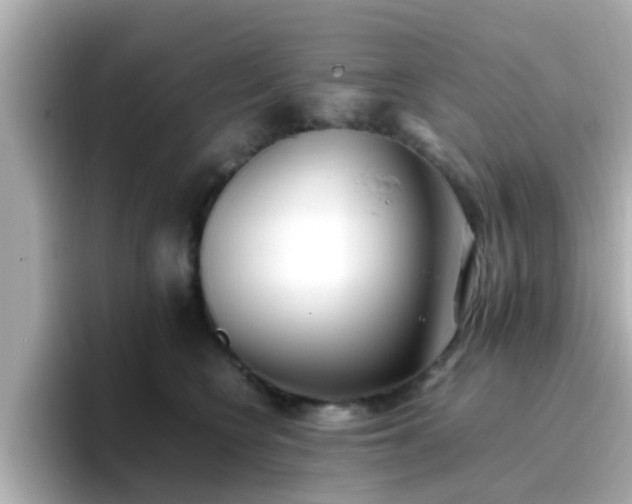 X0000096670566200802121153