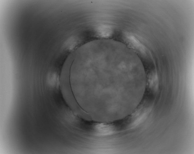 X0000096670568200802121153