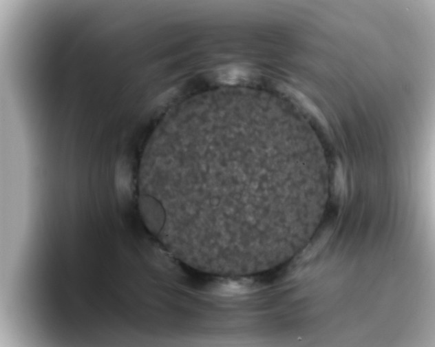X0000096670569200802121153