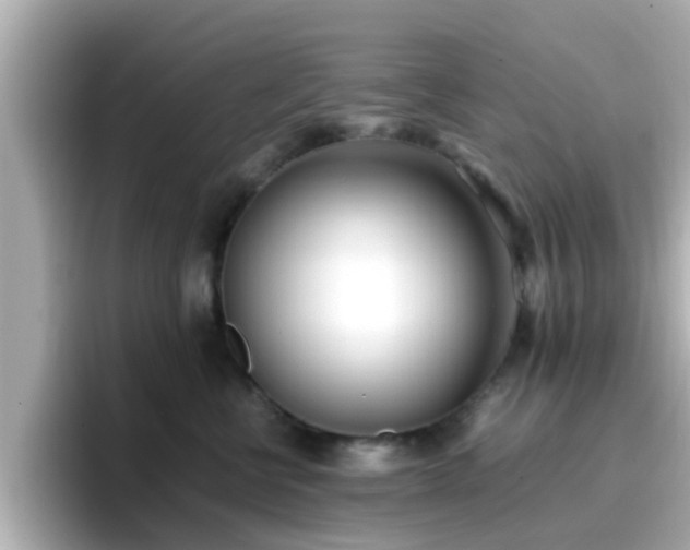 X0000096670570200802121153