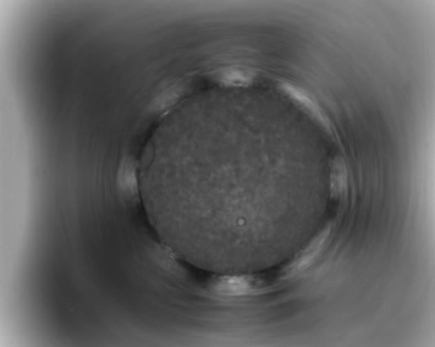 X0000096670573200802121154