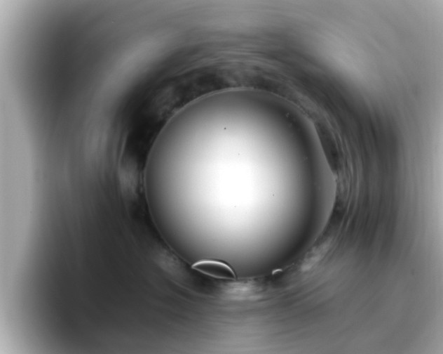 X0000096670574200802121154