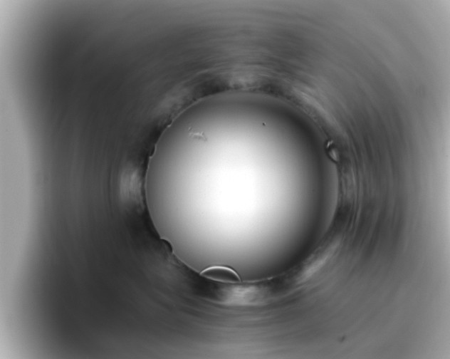 X0000096670575200802121154